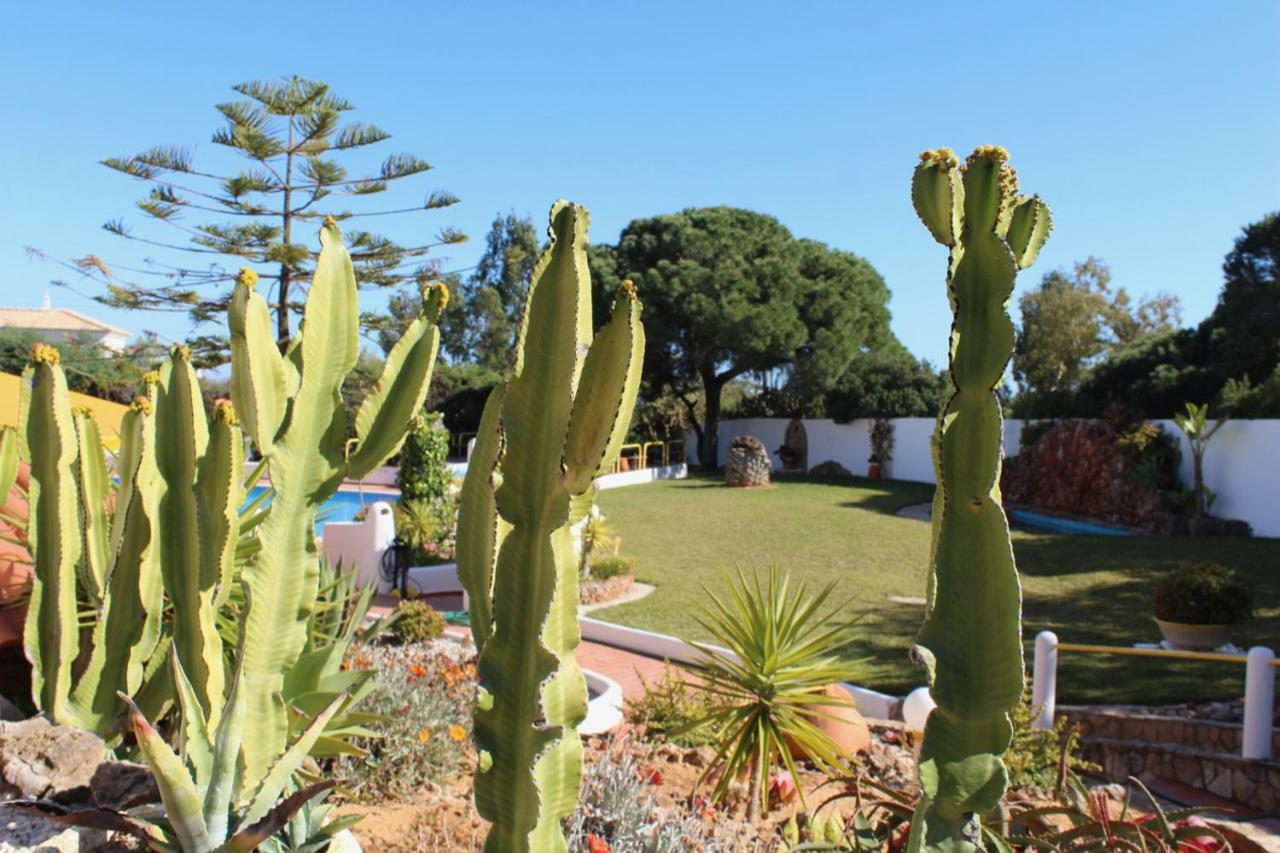 Casa Areias Boutique Apartments アルブフェイラ エクステリア 写真