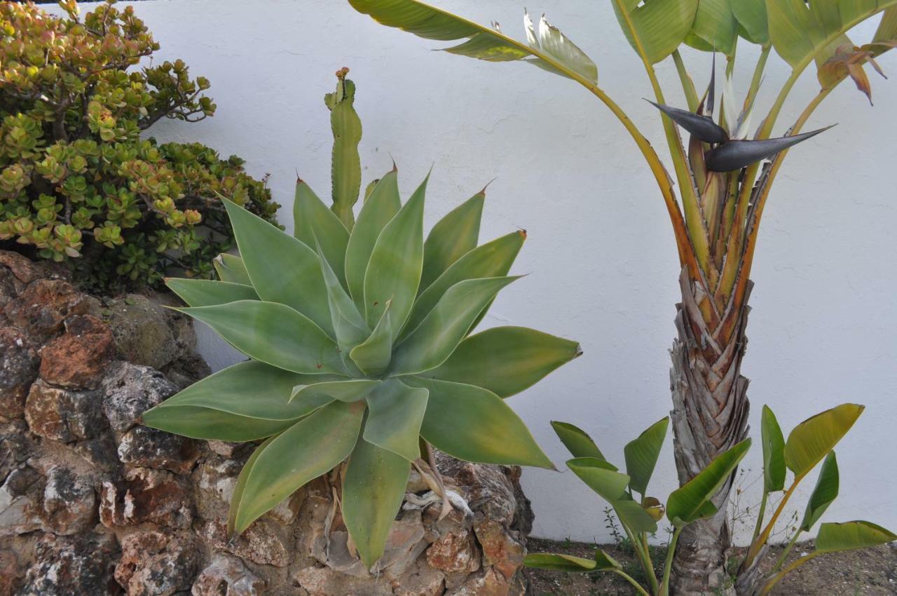 Casa Areias Boutique Apartments アルブフェイラ エクステリア 写真